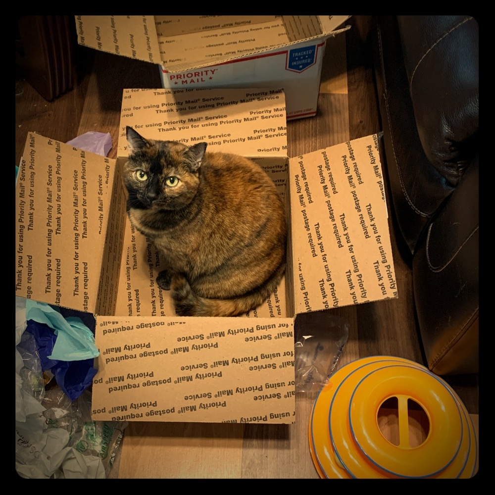 Roxy
